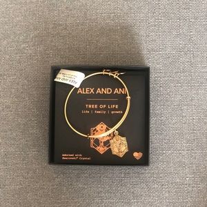 Alex and ani bracelet